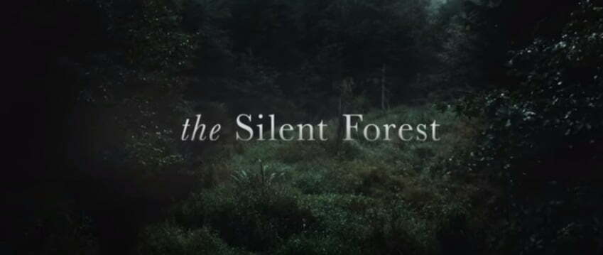 The Silent Forest Parents Guide| The Silent Forest 2022