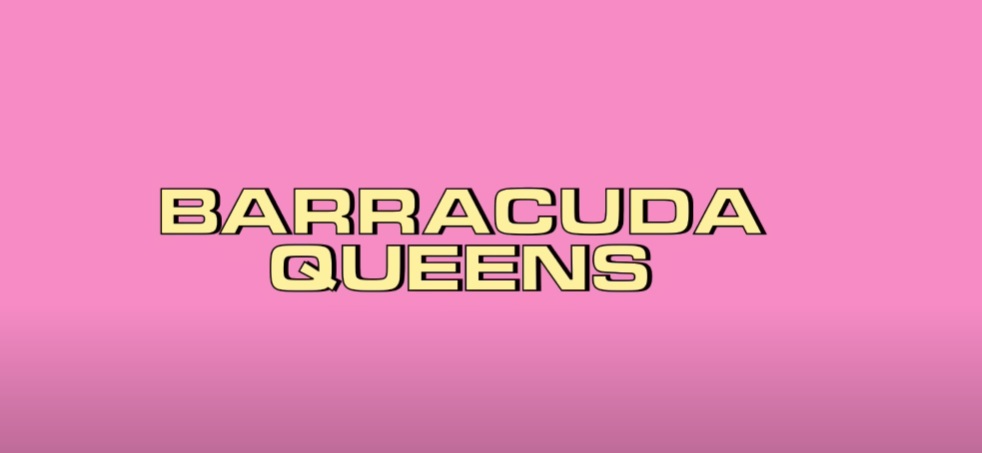 Barracuda Queens Parents Guide | Age Rating TV-Series 2023