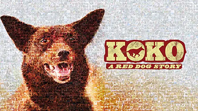 Koko A Red Dog Story Parents Guide | Koko A Red Dog Story Age Rating 2023